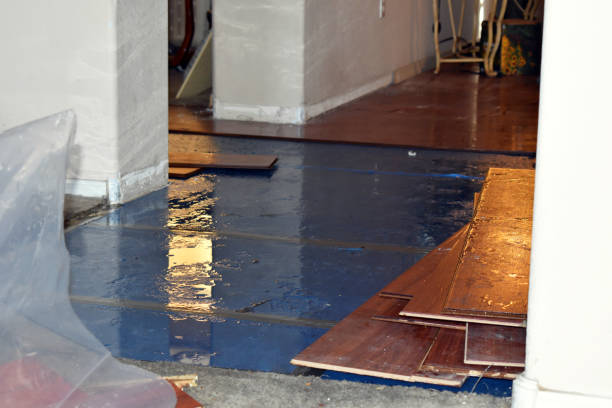 Professional Water Damage Repair technician working in Chesterhill, OH